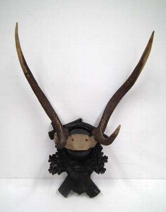 Antique Set of Red Deer Stag Antlers