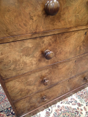 Antique Victorian Burr Walnut Chest of Drawers