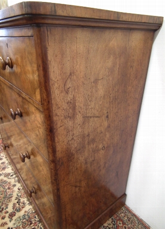 Antique Victorian Burr Walnut Chest of Drawers