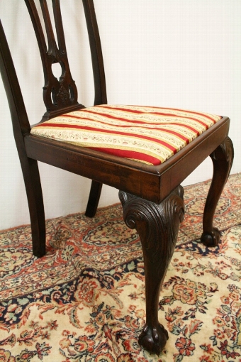 Antique Set of 8 (6 + 2) Chippendale Style Dining Chairs