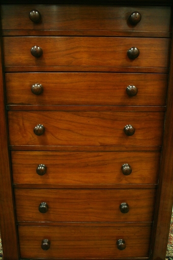 Antique Victorian Walnut Wellington Chest