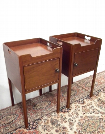 Pair of George III Style Tray Top Lockers