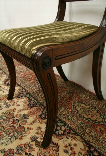 Antique Set of 6 Regency Mahogany Dining Chairs