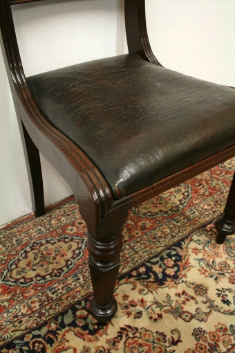 Antique Set of 6 William IV Mahogany Dining Chairs