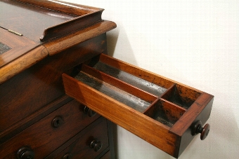 Antique Early Victorian Rosewood Davenport
