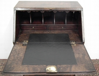 Antique George II Style Burr Walnut Bureau