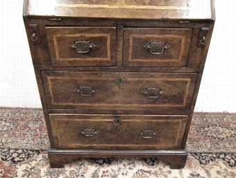 Antique George II Style Burr Walnut Bureau