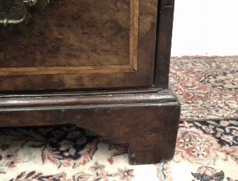 Antique George II Style Burr Walnut Bureau