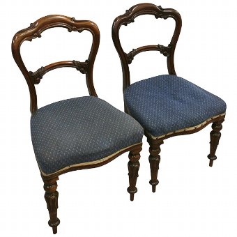 Pair of William IV Rosewood Chairs