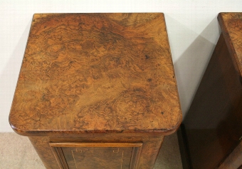 Antique Pair of Original Victorian Burr Walnut Lockers