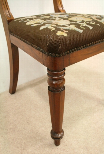 Antique Set of 6 William IV Mahogany Dining Chairs
