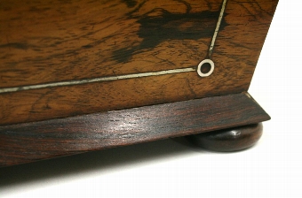 Antique Regency Rosewood Tea Caddy