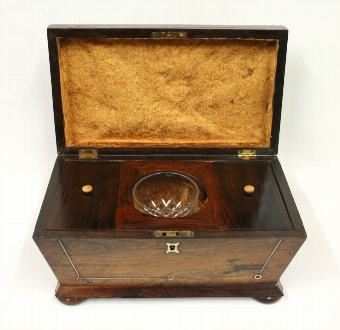 Antique Regency Rosewood Tea Caddy