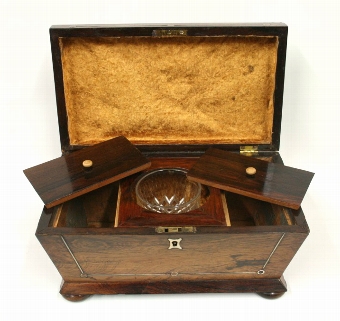 Antique Regency Rosewood Tea Caddy