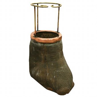 Elephant Foot Stick Stand