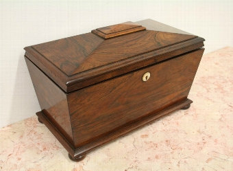 George IV Rosewood Tea Caddy