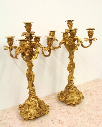 Pair of Gilt Bronze Rococo Style Candelabra