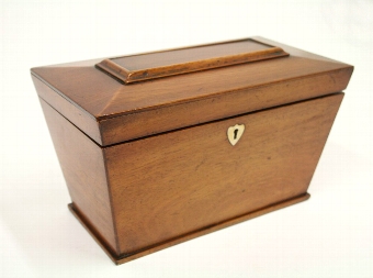 Early Victorian Mahogany Tea Caddy
