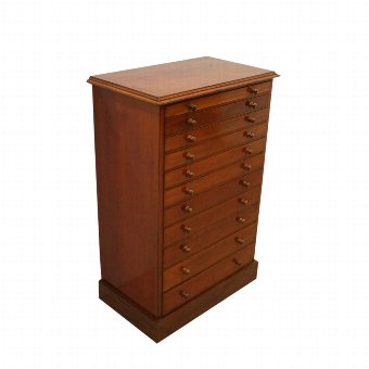 Unusual Mahogany Specimen Cabinet/Wellington Chest