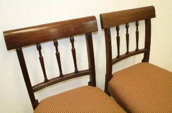 Antique Pair of Scottish Regency Mahogany Dining Chairs