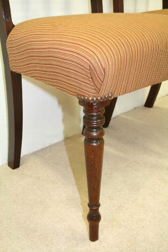 Antique Pair of Scottish Regency Mahogany Dining Chairs