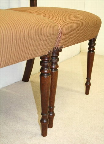 Antique Pair of Scottish Regency Mahogany Dining Chairs