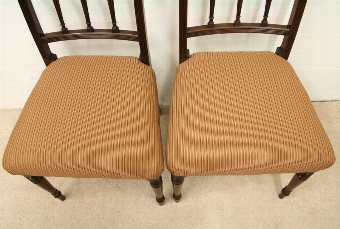 Antique Pair of Scottish Regency Mahogany Dining Chairs