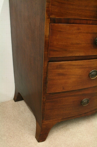 Antique Late George III Mahogany Bow Front Chest of Drawers