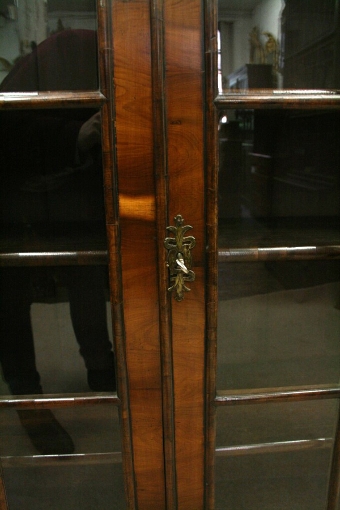 Antique Early Georgian Style Rare Yew Bookcase
