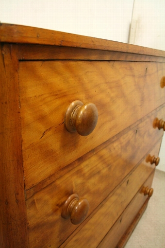 Antique Victorian Satin Birch Chest of Drawers