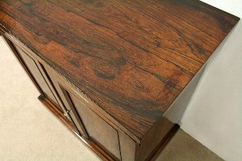 Antique William IV Rosewood Two Door Cabinet