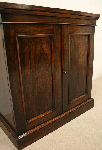 Antique William IV Rosewood Two Door Cabinet
