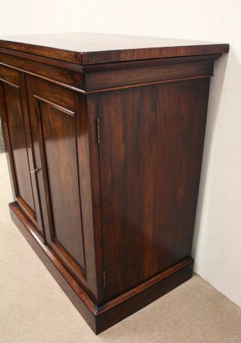 Antique William IV Rosewood Two Door Cabinet