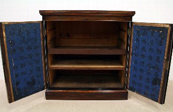Antique William IV Rosewood Two Door Cabinet