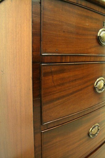 Antique Late George III Mahogany Bow Front Chest of Drawers