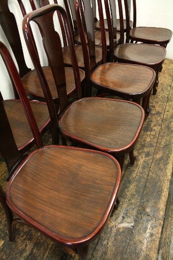 Antique Set of 10 Thonet Bentwood Chairs