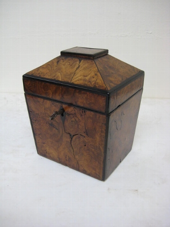 Regency Tea Caddy