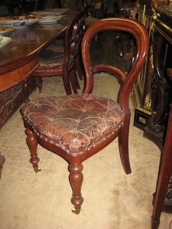 :SALE: Set of 10 Victorian Mahogany Balloon Back Dining Chairs