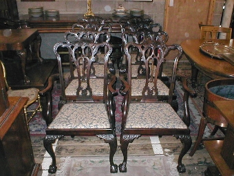 :SALE: Set of 8 (6 + 2) Chippendale Style Dining Chairs
