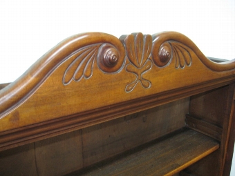 Antique William IV Mahogany Bookcase