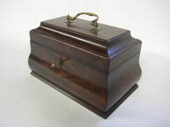George III Mahogany Sarcophagus Tea Caddy