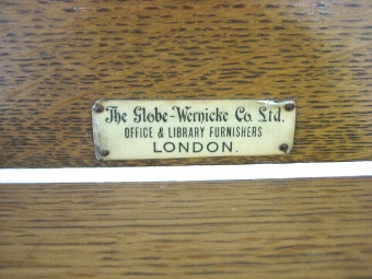 Antique Globe Wernicke Book Trough
