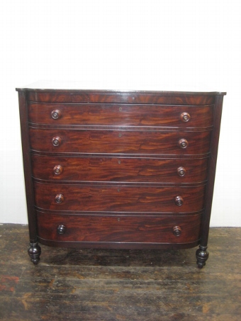 Antique William IV Barrel-Front Mahogany Chest of Drawers