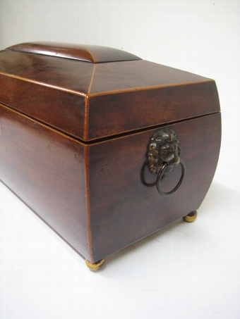Antique Scottish Mahogany Sarcophagus Tea Caddy