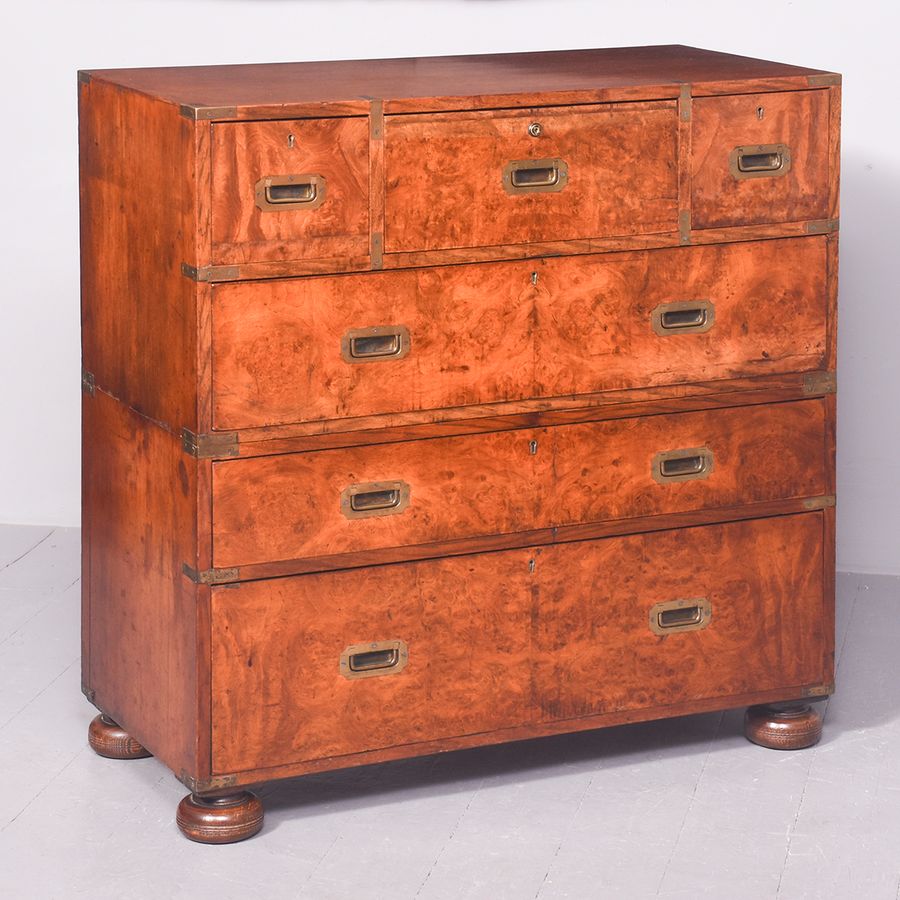 Exceptional Victorian Burr Walnut and Teak Antique Military Secretaire Chest