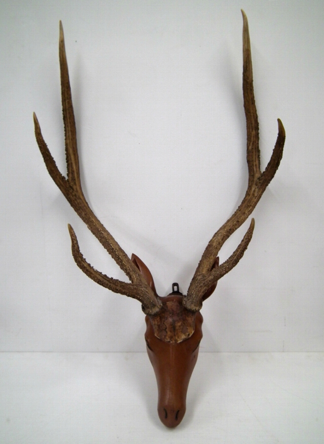 Unusual Carved Deer's Head