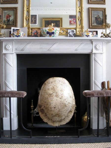 19th Century Albino Loggerhead Turtle Shell