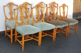 Antique Set 8 Wheatsheaf Mahogany Dining Chairs. Pale Blue upholstery. 1960's