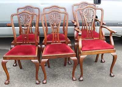 Antique Set 6 Mahogany 1920's Claw and Ball Dining Chairs. Pop out seats. 4 2 Red Seats