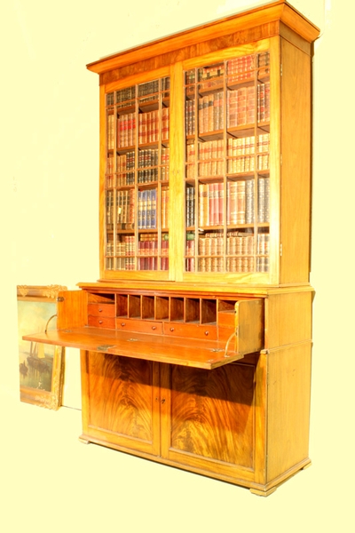 Antique William IV bookcase.